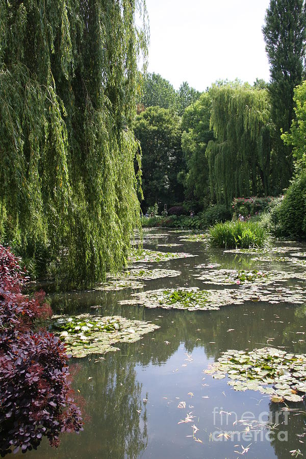 Claude Monet Photograph - Lily Pond - Monets Garden #1 by Christiane Schulze Art And Photography
