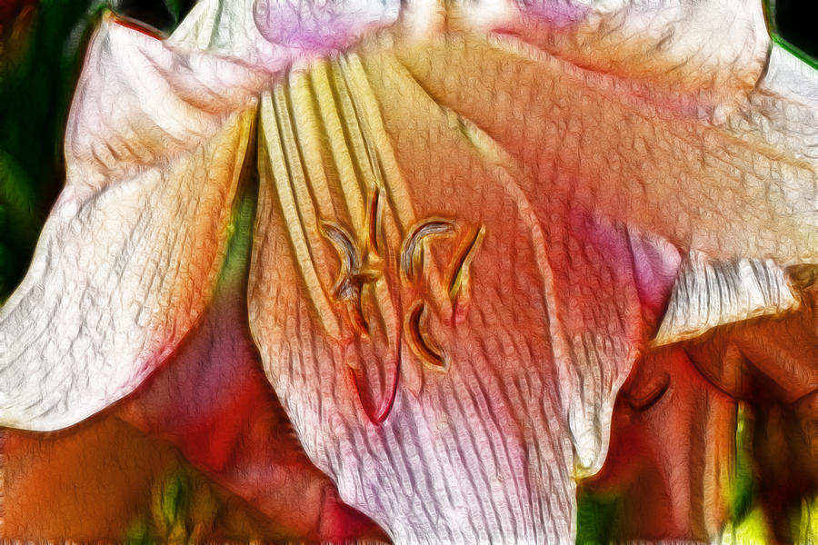 Lily #1 Digital Art by Photographic Art by Russel Ray Photos