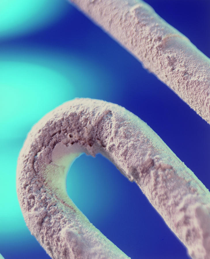 Limescale On A Washing Machine Heating Element #1 Photograph by Sheila Terry/science Photo Library