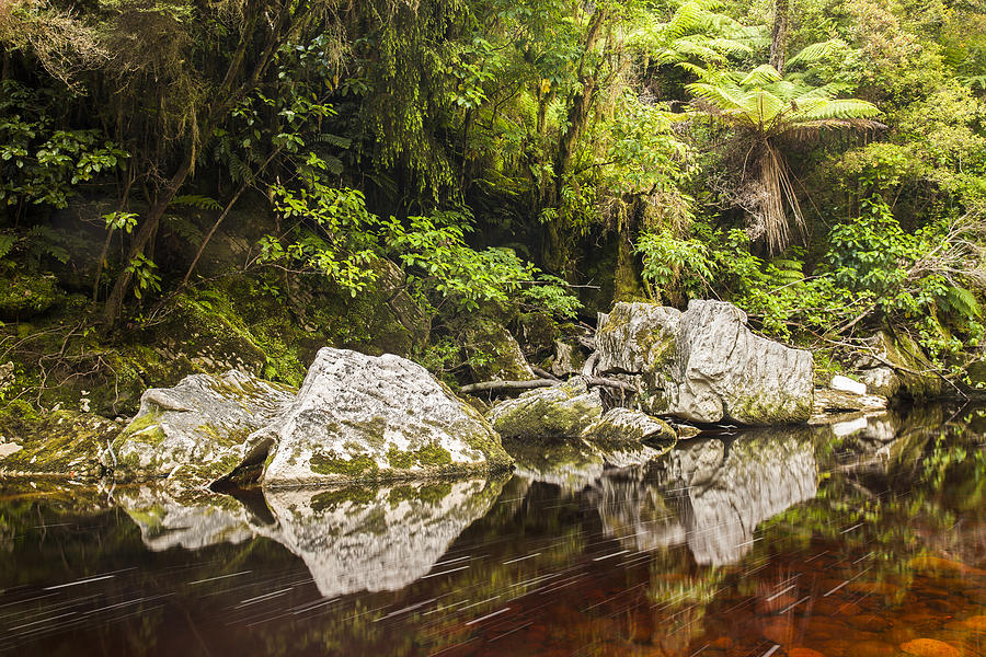 Limestone Boulders In Oparara River #1 Photograph by Colin Monteath