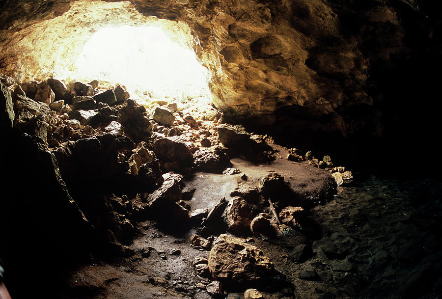 Limestone Cave #1 Photograph by Sinclair Stammers/science Photo Library