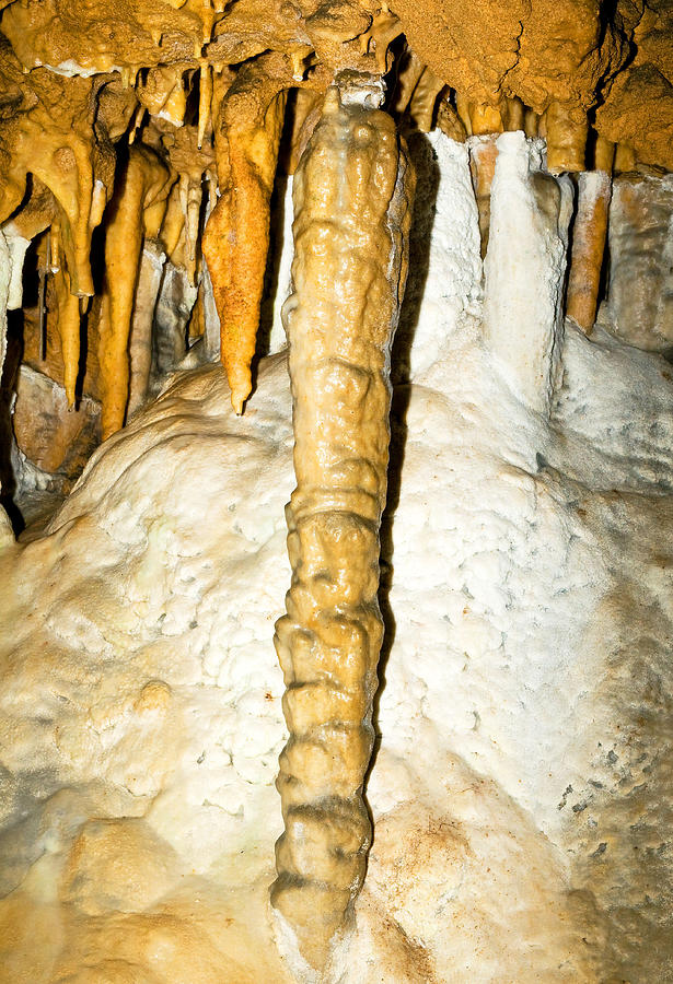 Limestone Column In Florida Caverns #1 Photograph by Millard H. Sharp