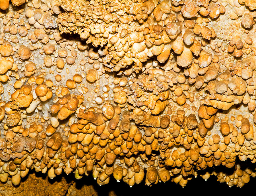 Limestone Formation In Carlsbad Caverns #1 Photograph by Millard H. Sharp