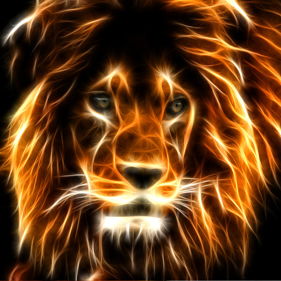The Lion King Digital Art - Lion  #1 by Mark Ashkenazi