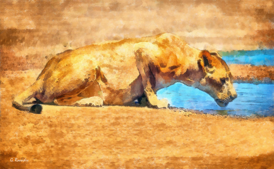 Lioness drinking #1 Painting by George Rossidis