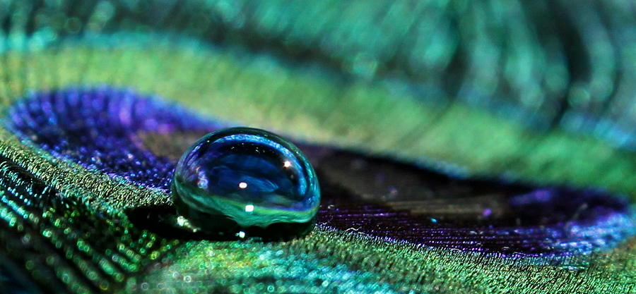Peacock Photograph - Liquid Marble #1 by Krissy Katsimbras