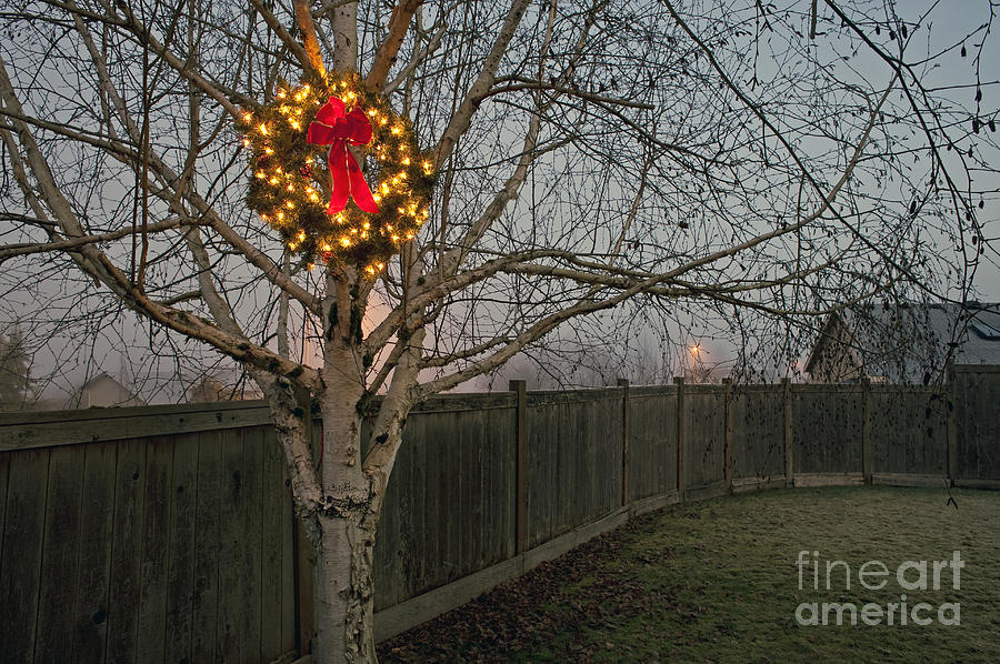 Lit Christmas wreath with red bow hanging in tree #1 Photograph by Jim Corwin