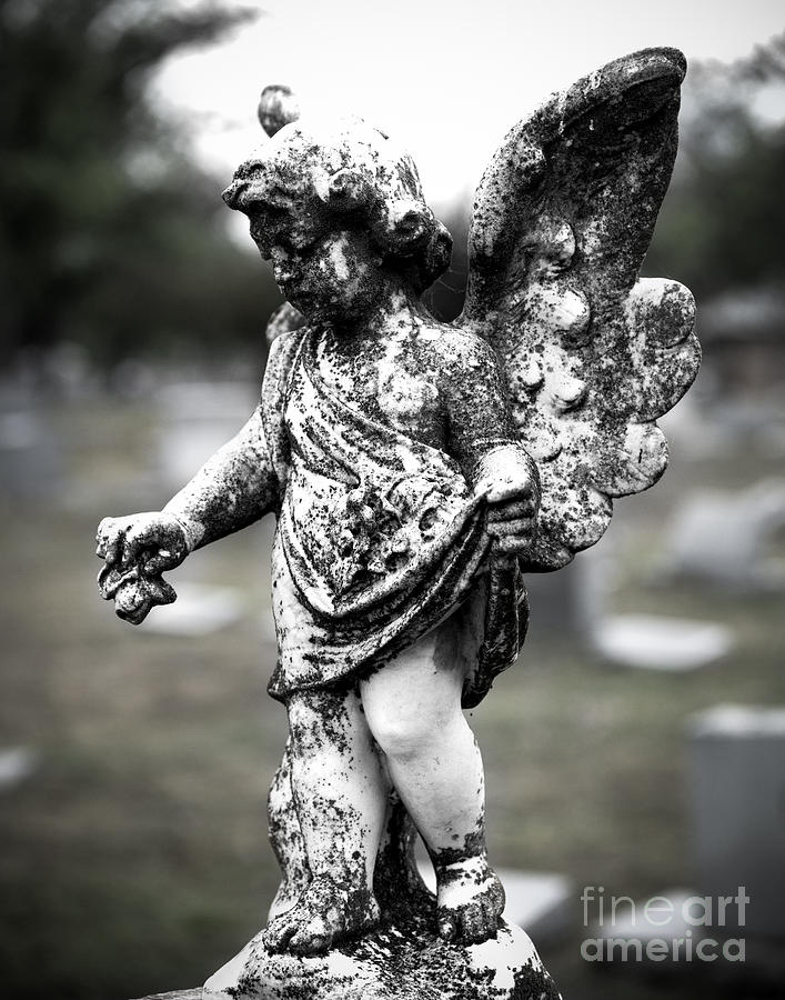Black And White Photograph - Little Angel #1 by Sonja Quintero