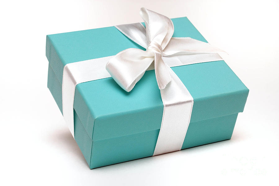 Little Blue Gift Box #1 Photograph by Amy Cicconi
