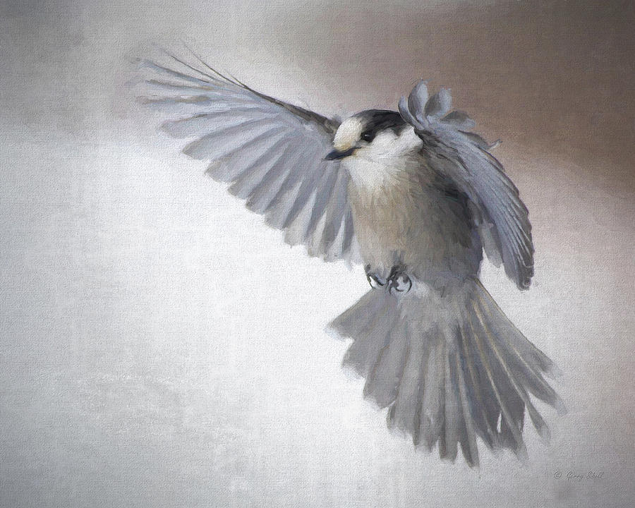 Little Gray Angel #1 Digital Art by Gerry Sibell