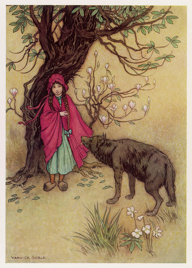 Little Red Riding Hood Meets The Wolf Drawing By Mary Evans Picture Library