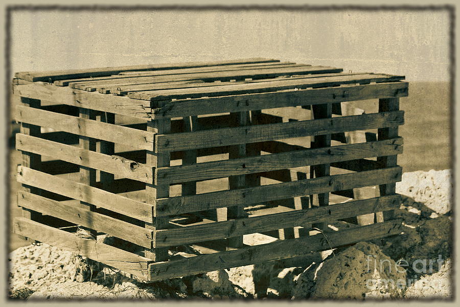 Lobster Cage Photograph by Sophie Vigneault - Fine Art America