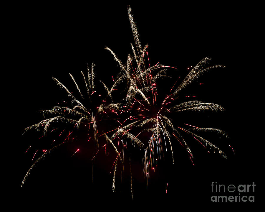 Local Fireworks #1 Photograph by Mark Dodd