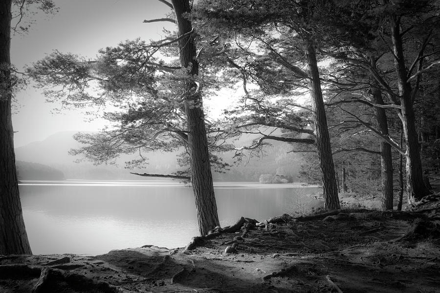 Black And White Photograph - Loch An Eilein #1 by Dorit Fuhg