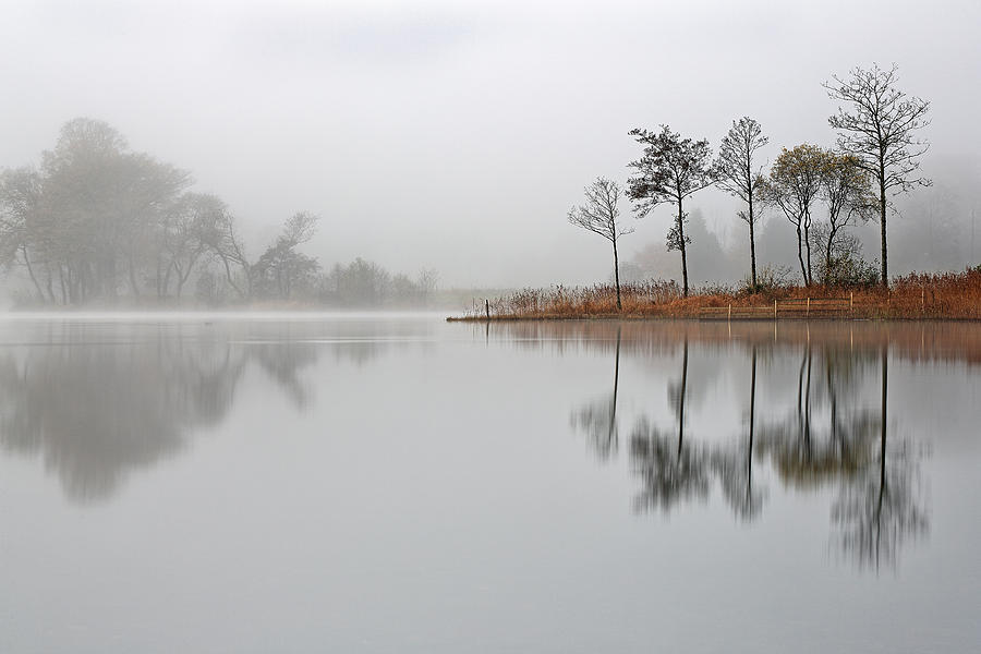 Tree Photograph - Loch Ard #1 by Grant Glendinning