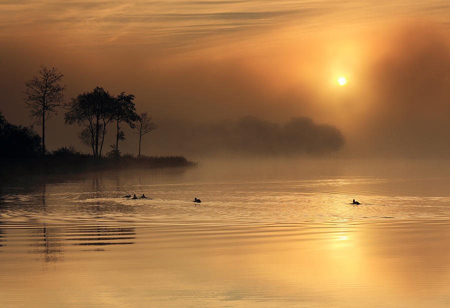 Loch Ard morning glow #1 Photograph by Grant Glendinning