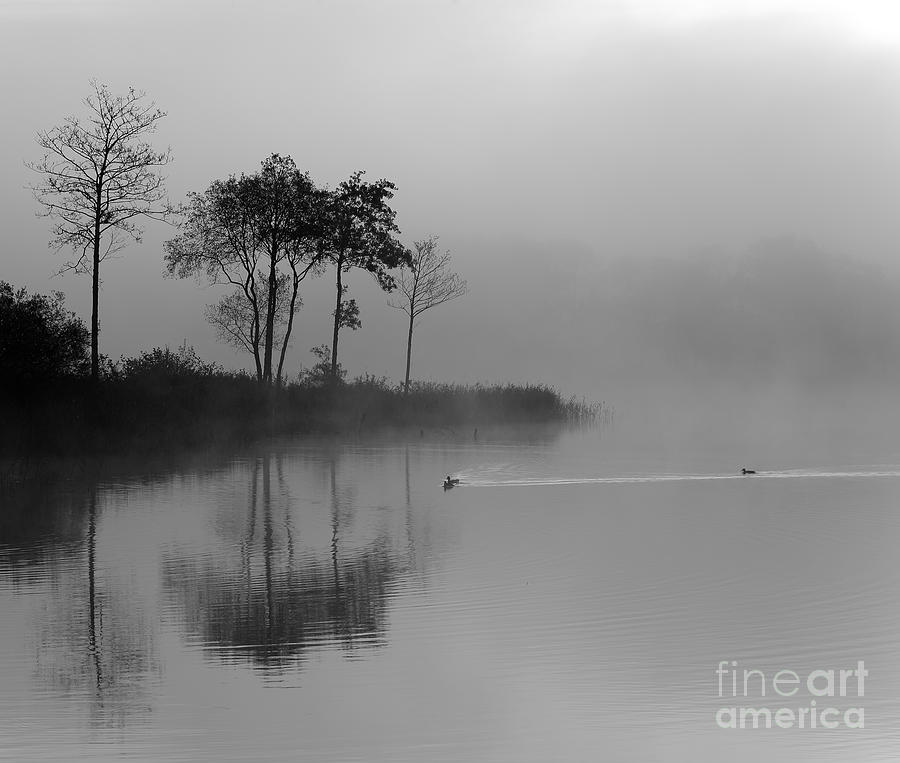 Loch Ard Trees in the Morning Mist Photograph by Maria Gaellman