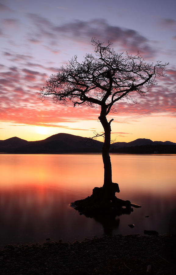 Loch Lomond Sunset Photograph by Grant Glendinning