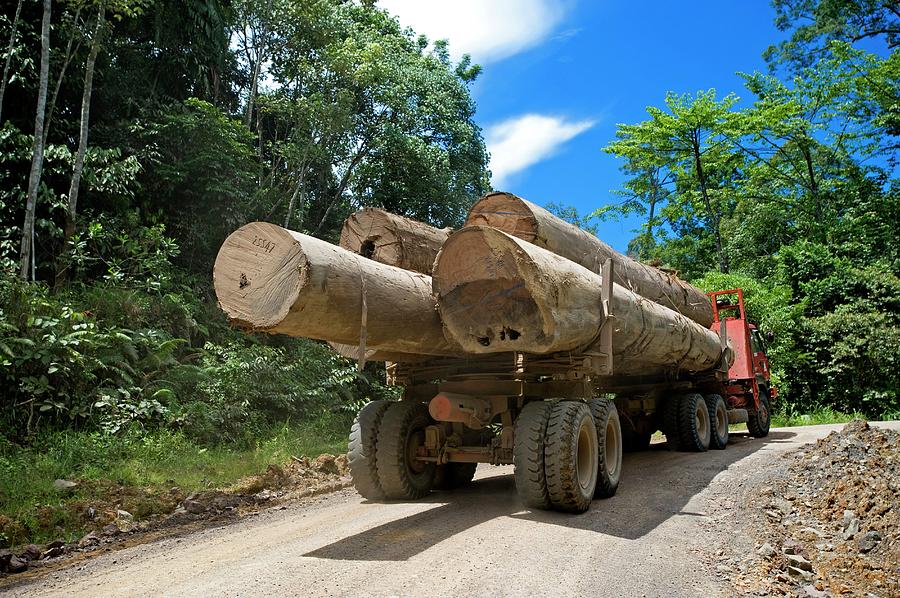 Logging Trucks Photograph by Tony Camacho/science Photo Library - Pixels