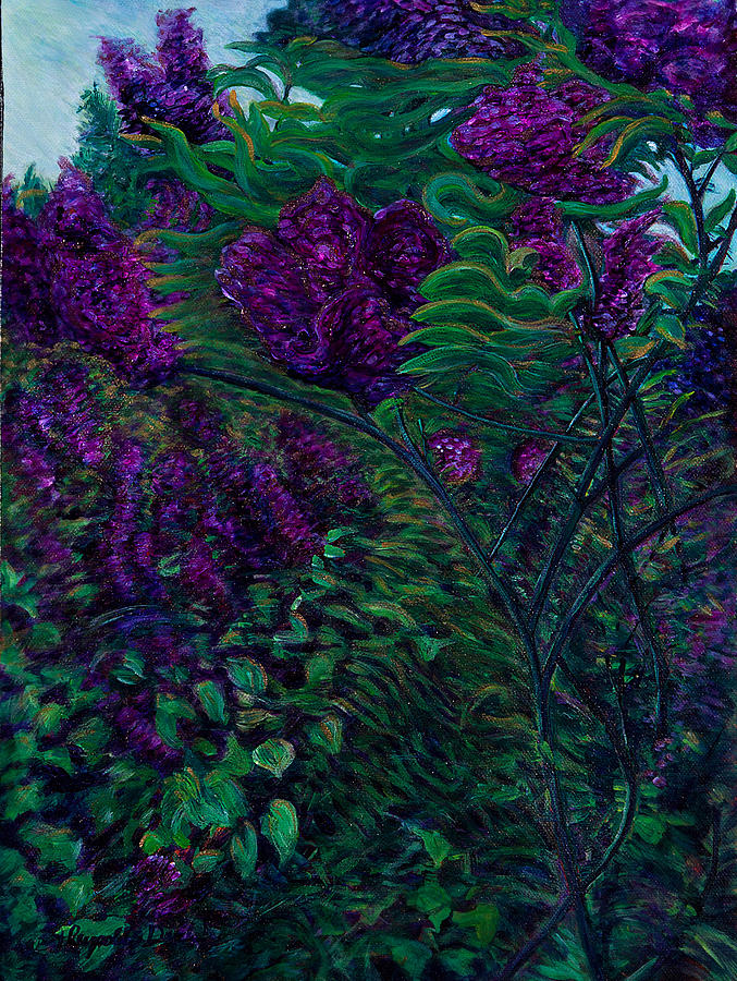 Lois Loves Lilacs by J Reynolds Dail Lois Loves Lilacs by J Reynolds Dail