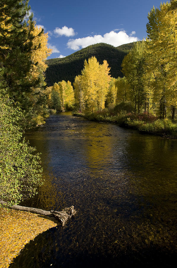 Lolo Creek, Western Montana #1 Photograph by Theodore Clutter