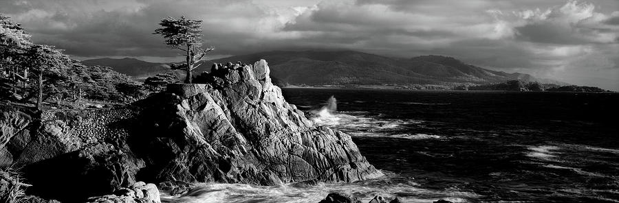 Lone Cypress On The Coast, Pebble #1 Photograph by Panoramic Images