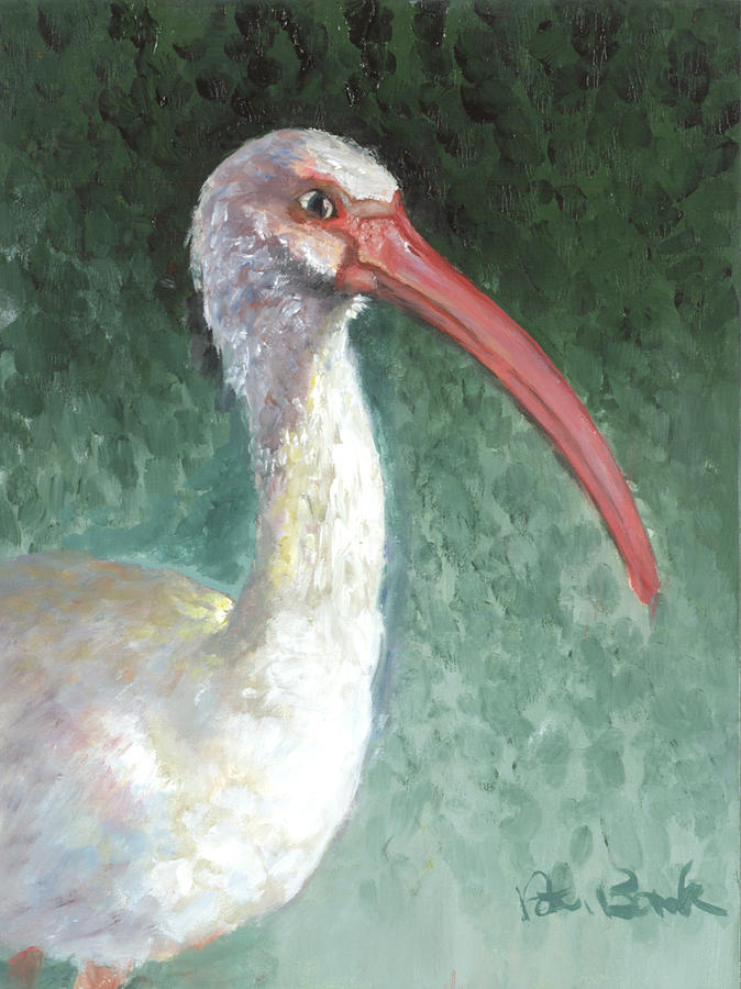 Ibis painting. Картины для Ибис пейнт. Красноногий Ибис (токи) живопись. Ибис арт. Краски на Ибис.