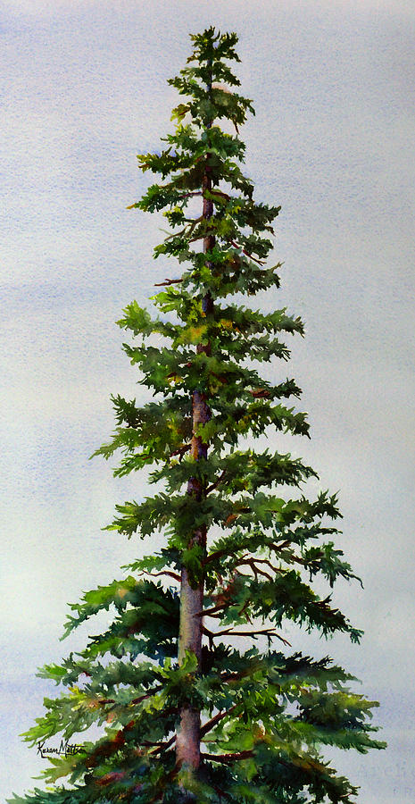 Lone Spruce #2 Painting by Karen Mattson