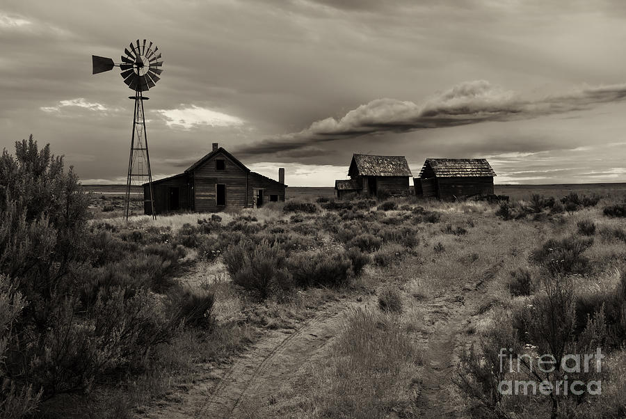 Lonely House on the Prairie Photograph by Michael Dawson