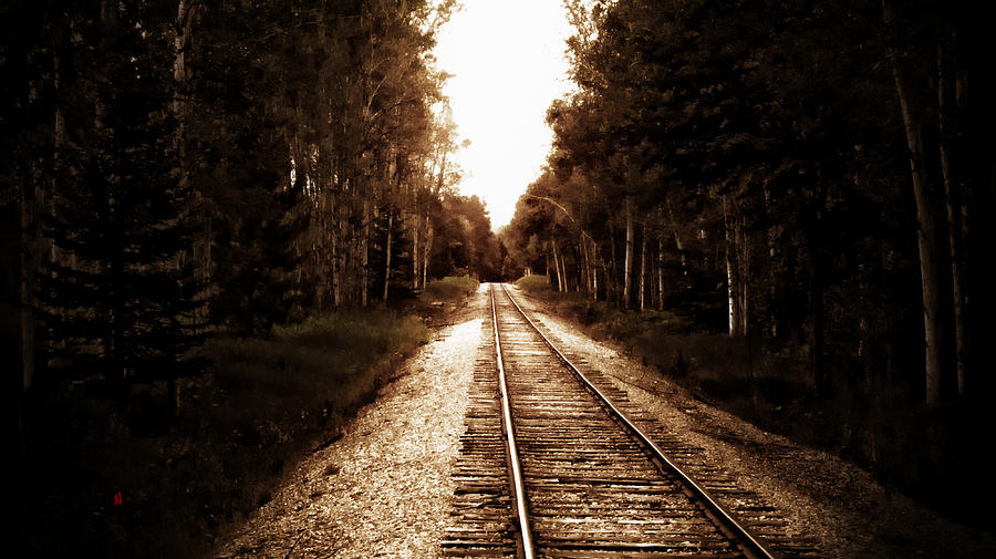 Tree Photograph - Lonely Railway #1 by Adam Vance