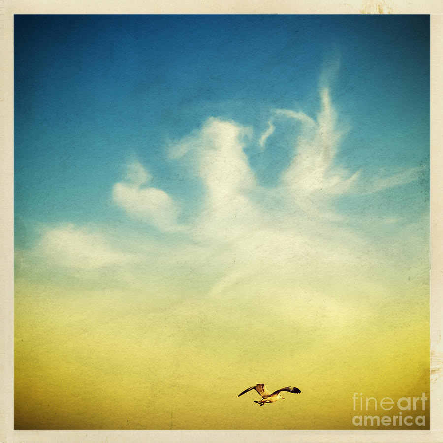 Nature Photograph - Lonely Seagull #1 by Setsiri Silapasuwanchai