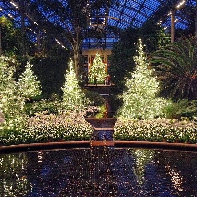 Nature Photograph - #longwoodgardens @longwoodgardens #1 by Stephanie Tomlinson
