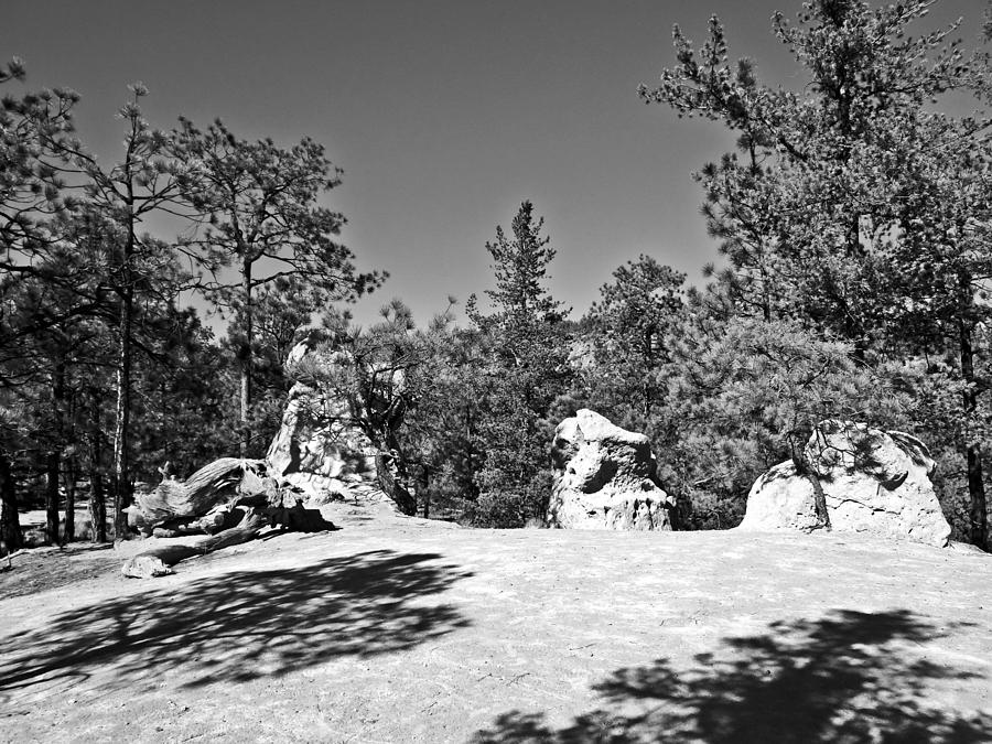 Los Alamos Trail Find II #1 Photograph by Tom DiFrancesca