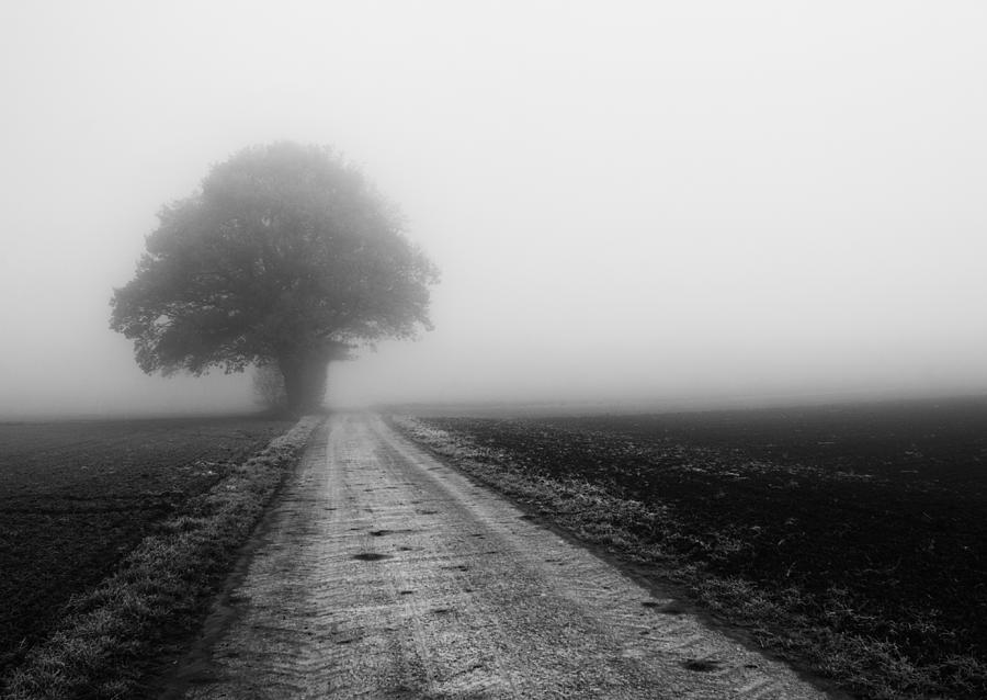 Lost in the Fog #2 Photograph by Miguel Winterpacht