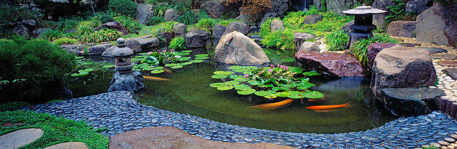 Lotus Blossoms, Japanese Garden #1 Photograph by Panoramic Images