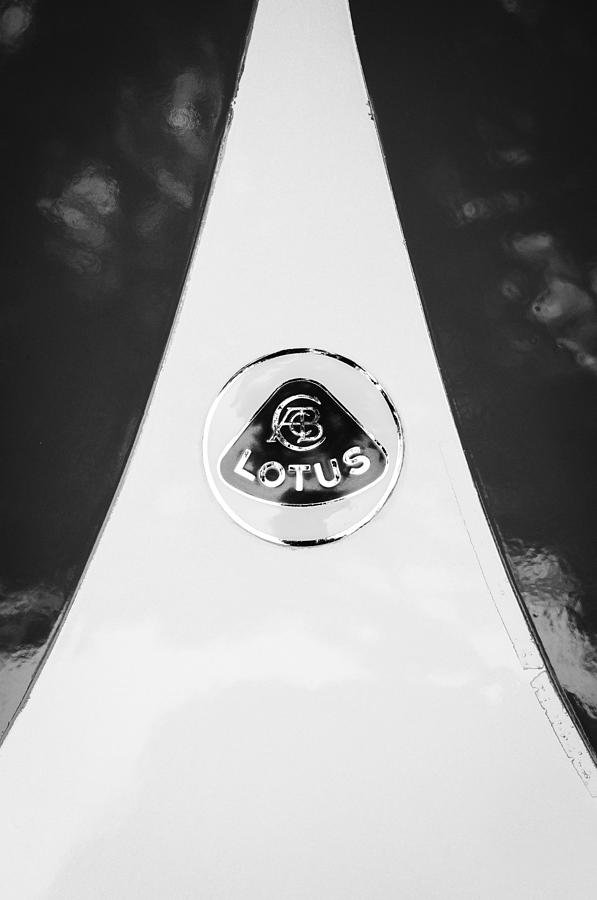 Lotus Emblem #1 Photograph by Jill Reger