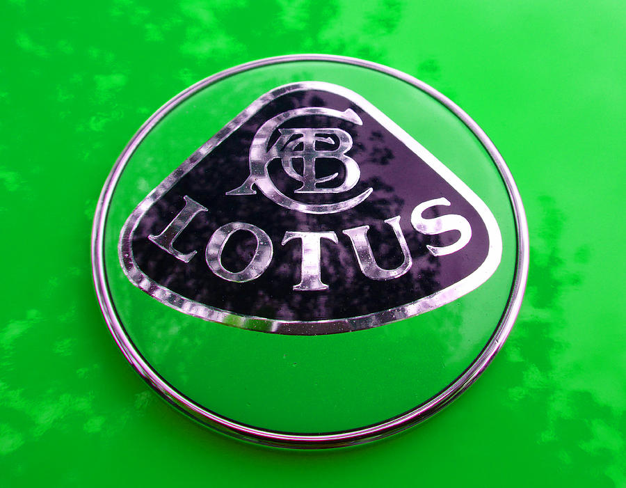 Lotus Logo in Spring 7 Photograph by Laurie Tsemak