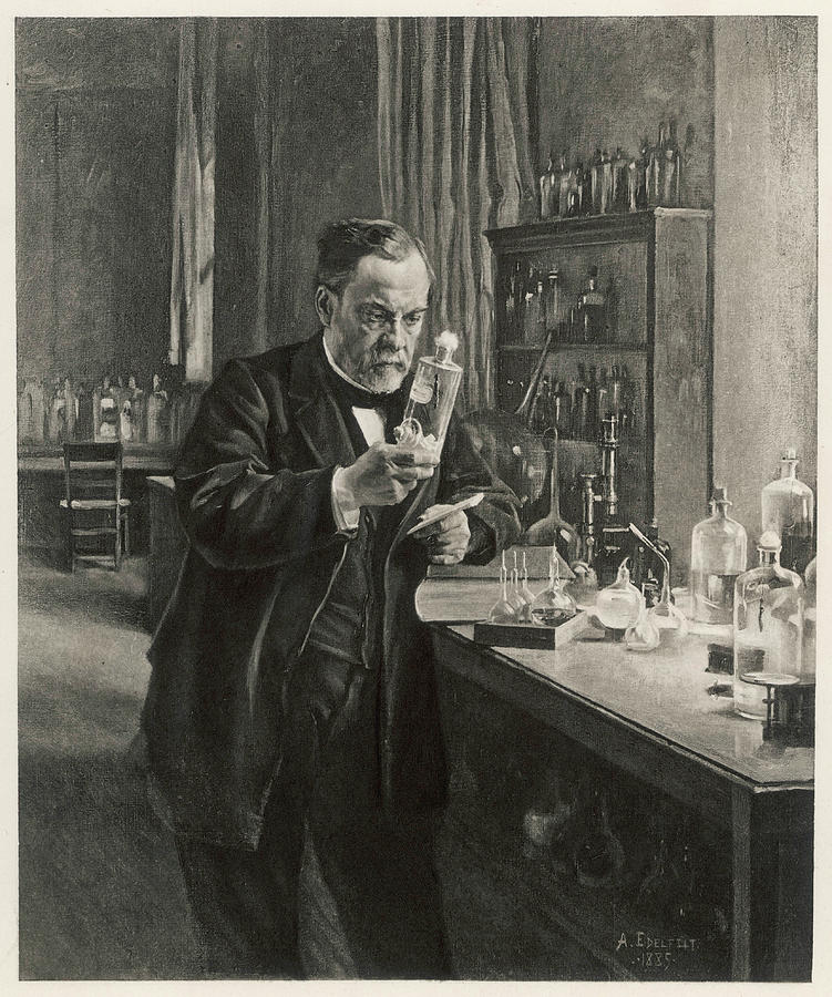 Bottle Drawing - Louis Pasteur (1822-1895) #1 by Mary Evans Picture Library