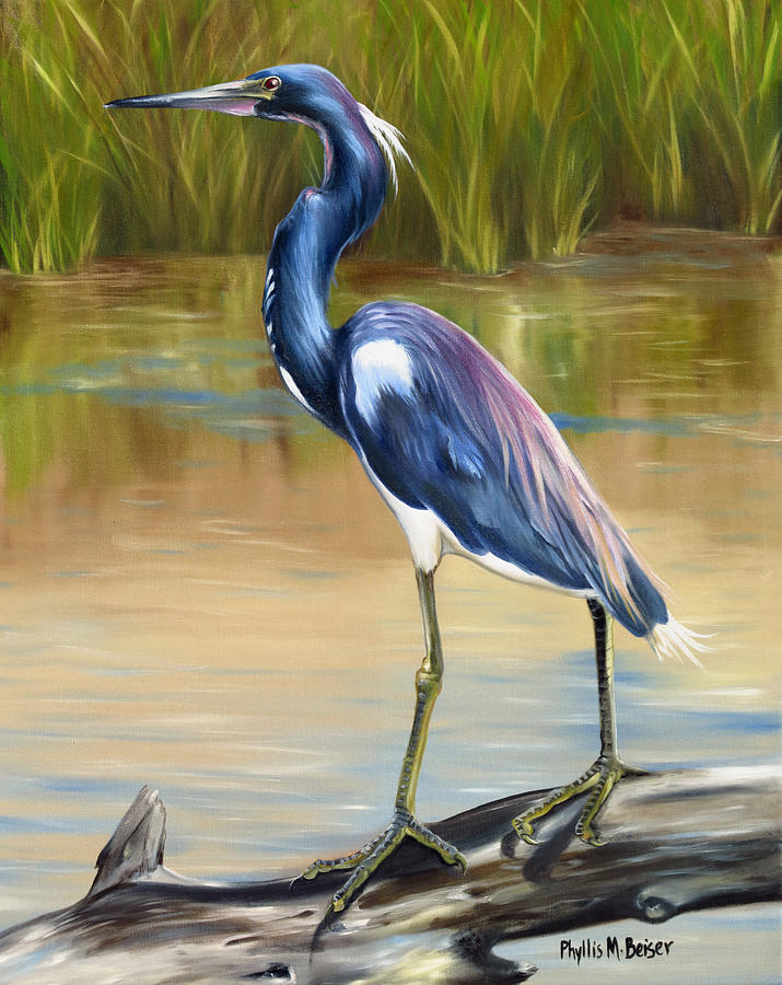 Louisiana Heron Painting By Phyllis Beiser