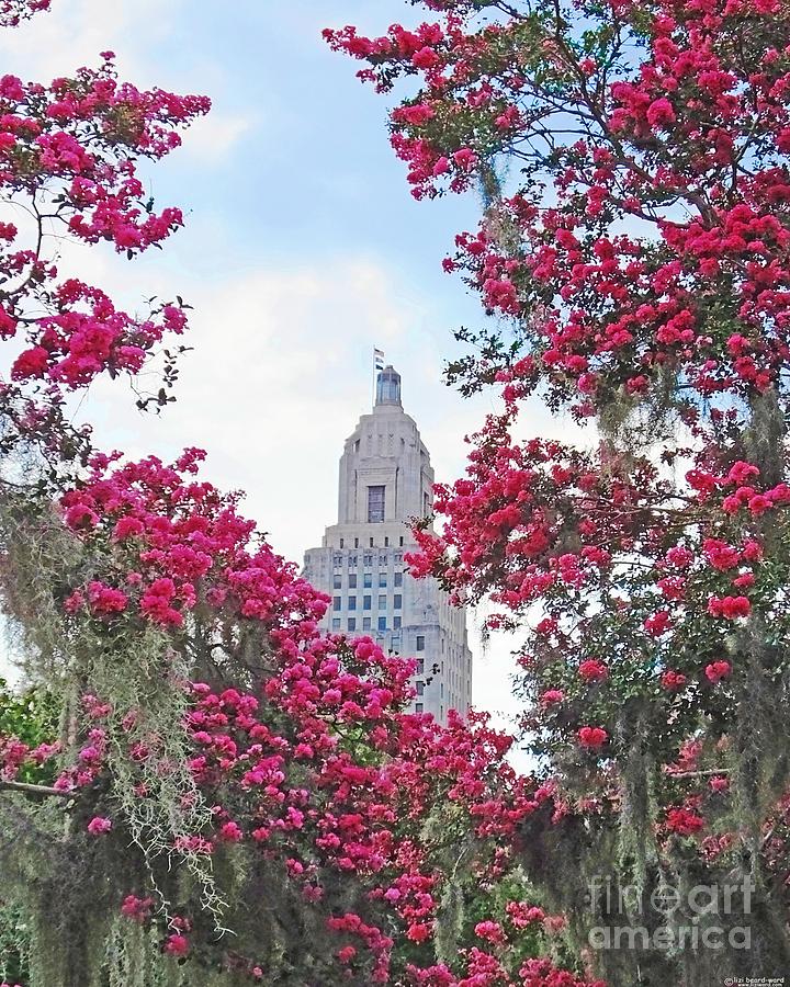 Louisiana State Capitol Photograph by Lizi Beard-Ward