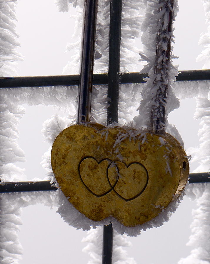 Love Locked Jungfraujoch #1 Photograph by Amelia Racca