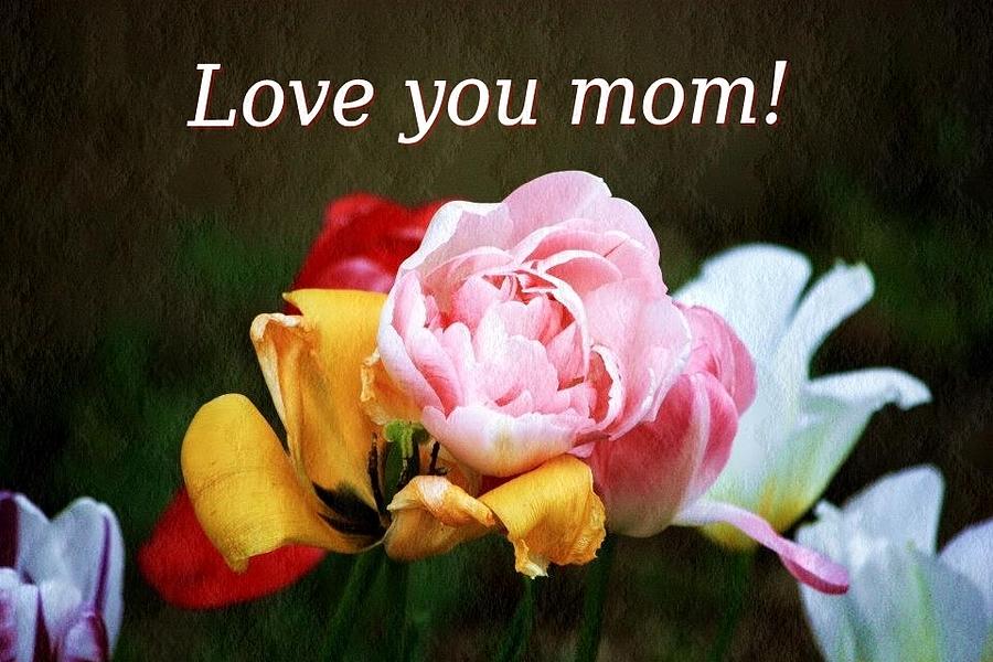 Love You Mom Photograph by M Gabo | Fine Art America