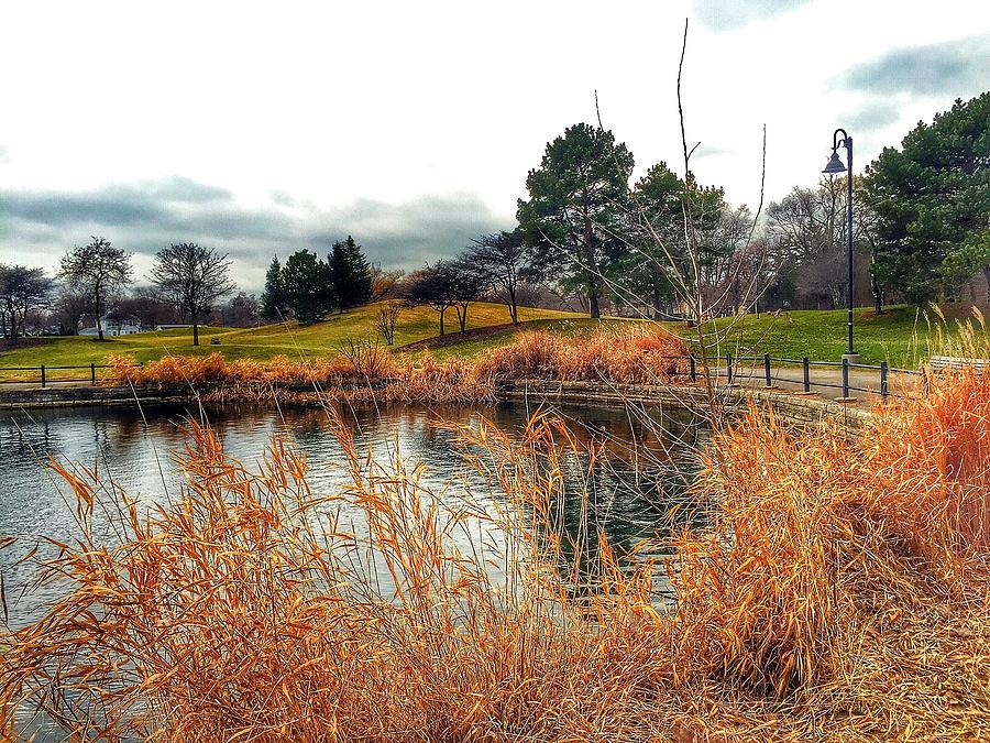 LoveLace Park Photograph by Louis Perlia - Fine Art America