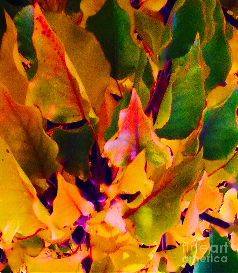 Landscape Digital Art - Lovely Leaves #1 by Gayle Price Thomas