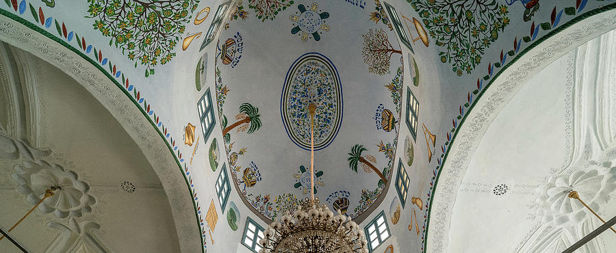 Low Angle View Of Ceiling Of Abuhav #1 Photograph by Panoramic Images