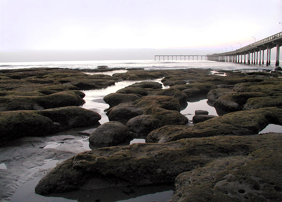 Low Tide #1 Photograph by Brian Gilna