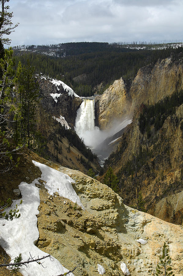 Yellowstone National Park Photograph - Lower Falls from Artist Point Yellowstone National Park #7 by Shawn OBrien