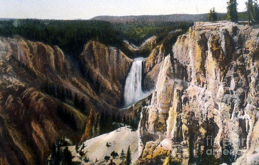 Lower Falls Yellowstone Np 1928 Photograph by NPS Photo Asahel Curtis ...