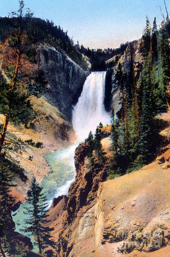 Lower Falls Yellowstone National Park Photograph by NPS Photo Frank J Haynes