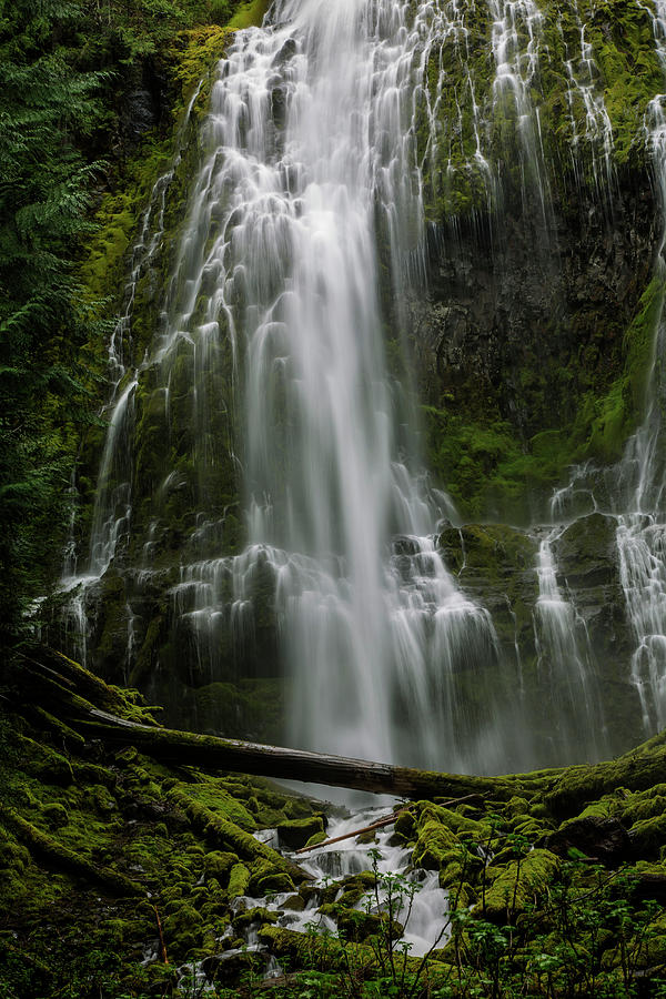 Lower Proxie Falls, Oregon Cascades #1 Photograph by Bob Pool
